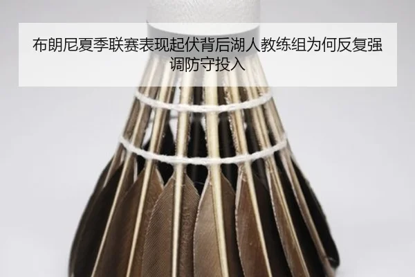 布朗尼夏季联赛表现起伏背后湖人教练组为何反复强调防守投入